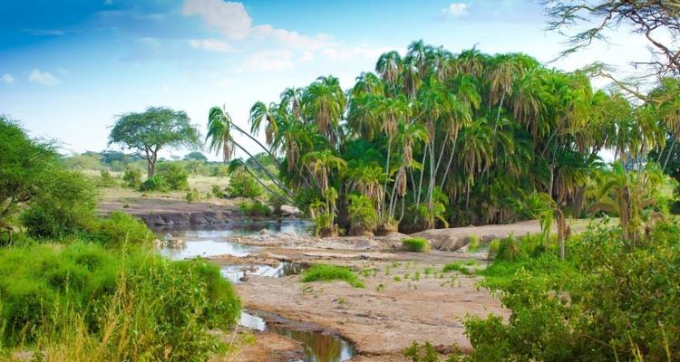 Simba Safari, Serena Lodges - Prime Safaris 9