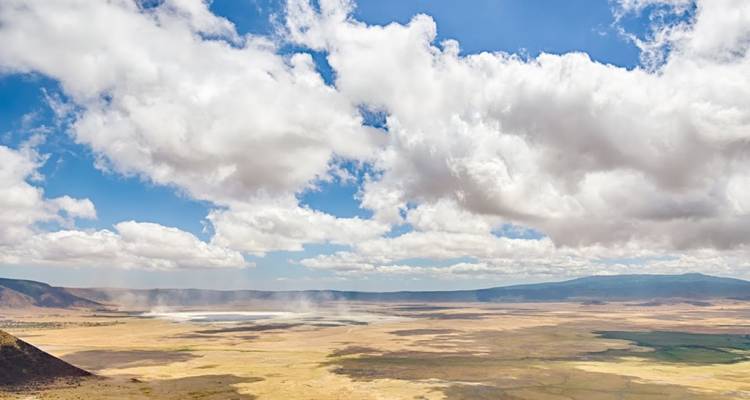 Simba Safari, Serena Lodges - Prime Safaris 10