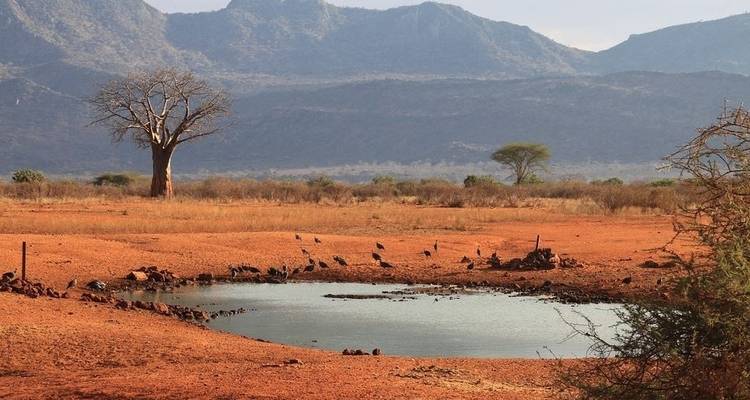 Kilimanjaro a Mombasa - Prime Safaris 3