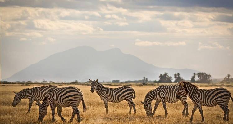 Kenya Classic, Serena Lodges - Prime Safaris 4