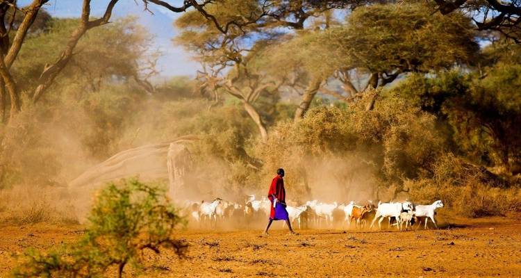 Kenya Classic, Serena Lodges - Prime Safaris 8