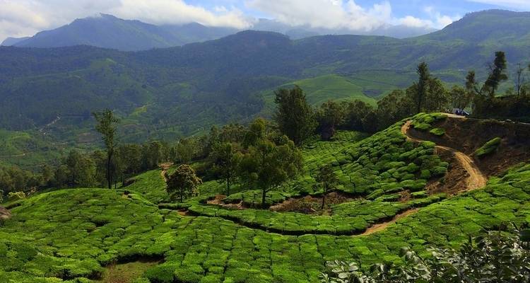 Kerala, el país de Dios - Bout India 4