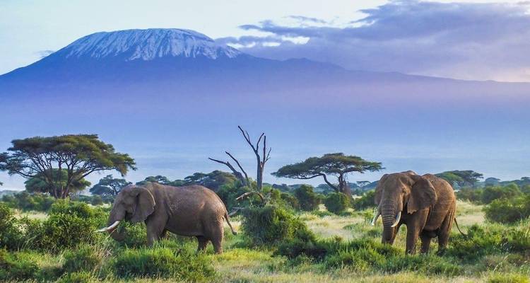 Kenya Classic, Sopa Lodges - Prime Safaris 9