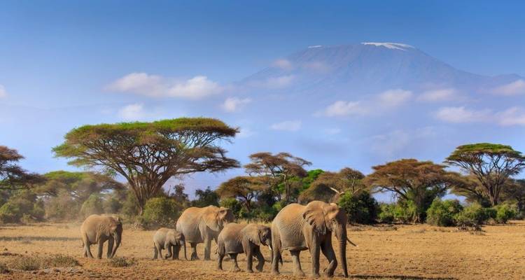 Kenya Classic, Sopa Lodges - Prime Safaris 6