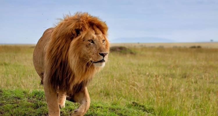 Kenya Classic, Sopa Lodges - Prime Safaris 3