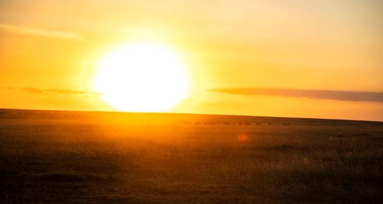 Una puesta de sol muy brillante sobre una llanura de hierba.