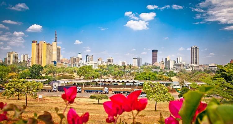 Paisaje urbano de Nairobi con altos edificios y vibrantes flores en primer plano.