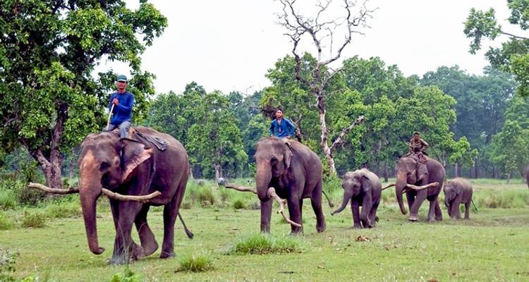 Viaje a Nepal y Bután - Outfitter Nepal Treks and Expeditions 4