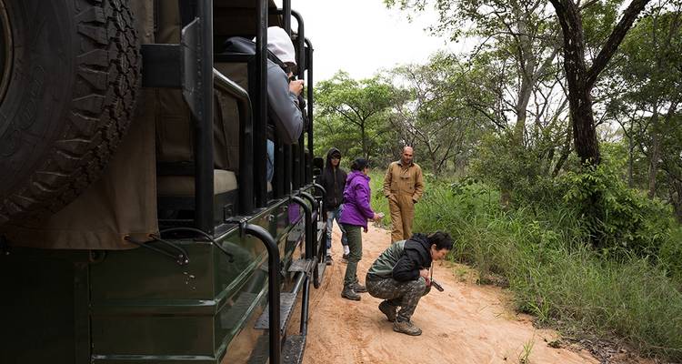 Escapada en avión a Kruger y Ciudad del Cabo - Intrepid Travel 9
