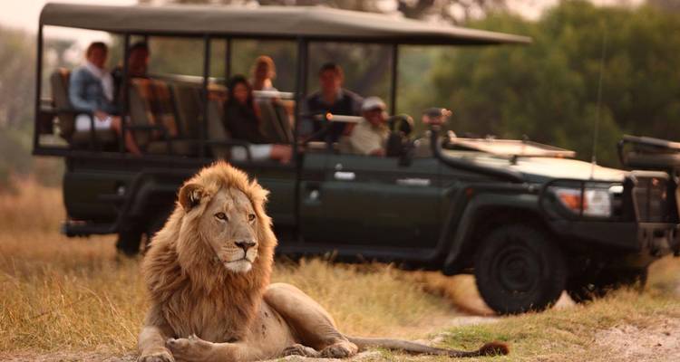 Safari de 3 jours dans le Kruger - Escapade dans le bush - Hotspots2c 3