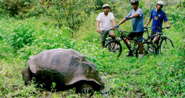 Complet - Santa Cruz, Isabela et; San Cristobal 8J/7N avec Tintoreras - Me Gusta Galapagos 6