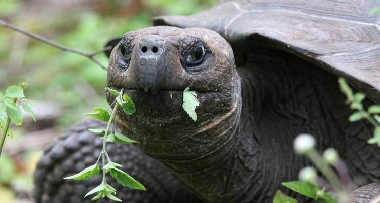 4 días Me Gusta Galápagos isla San Cristóbal - Me Gusta Galapagos 1