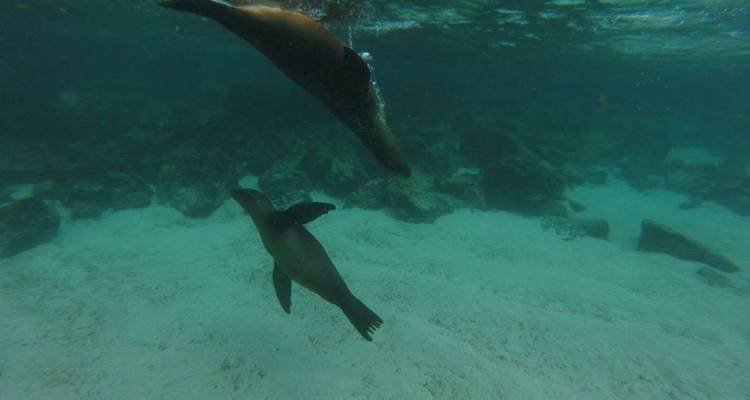4 días Me Gusta Galápagos isla Santa Cruz - Me Gusta Galapagos 4