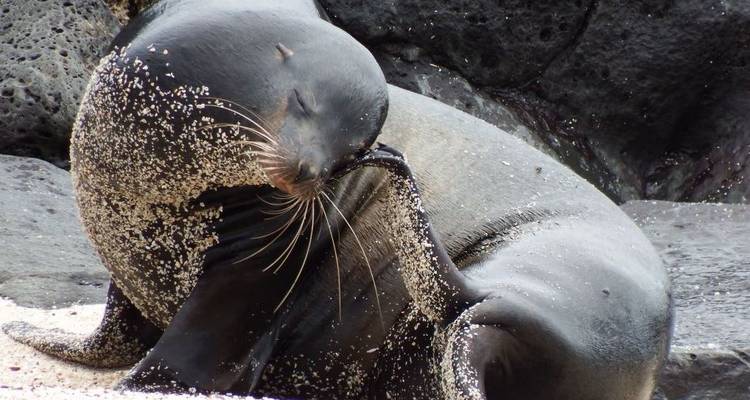 4 días Me Gusta Galápagos isla Santa Cruz - Me Gusta Galapagos 3