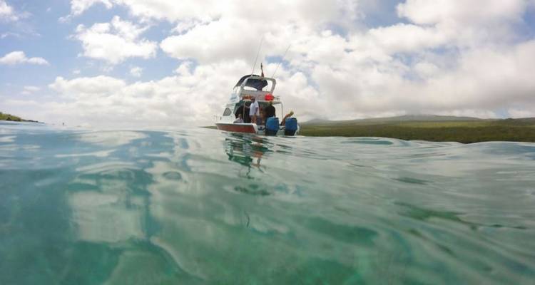 4 días Me Gusta Galápagos isla Santa Cruz - Me Gusta Galapagos 1