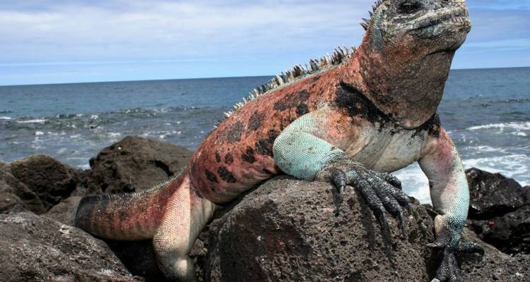 4 días Me Gusta Galápagos isla Santa Cruz - Me Gusta Galapagos 6