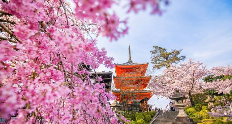 Vibrant pink cherry blossoms frame the three-tiered pagoda at Kiyomizu-dera with visitors ascending stone steps.