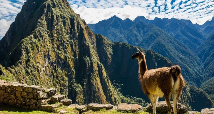 Best of Peru - LimaTours 8