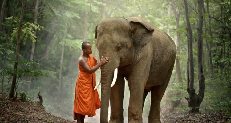 Festival de Songkran - Knutson Travels 2