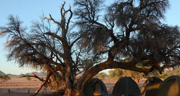Safari en camping à prix réduit dans le sable, la mer et Etosha - 6 jours - Chameleon Safaris Namibia 6