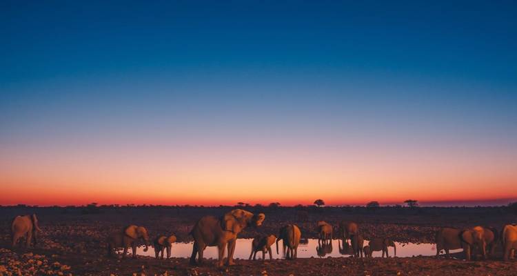 Safari en camping à prix réduit dans le sable, la mer et Etosha - 6 jours - Chameleon Safaris Namibia 8