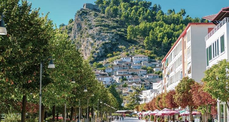 Colorful buildings nestled against a hill with trees.