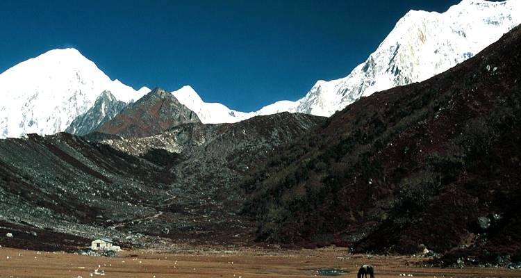 Circuit du Manaslu - Broad Adventure Pvt. Ltd. 8
