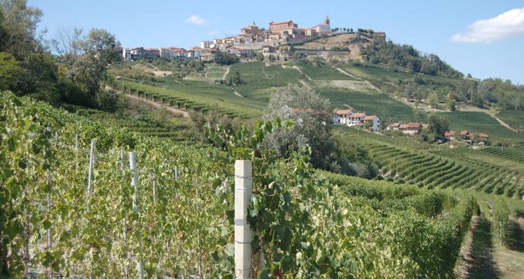 Barolo Gastronomic Cycling by E-Bike - Exodus Adventure Travels 6