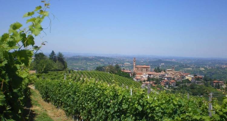 Paseo gastronómico por Barolo - Exodus Adventure Travels 6