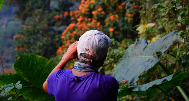 Rückansicht eines Reisenden, der leuchtend orange Blüten tief im Wald fotografiert.