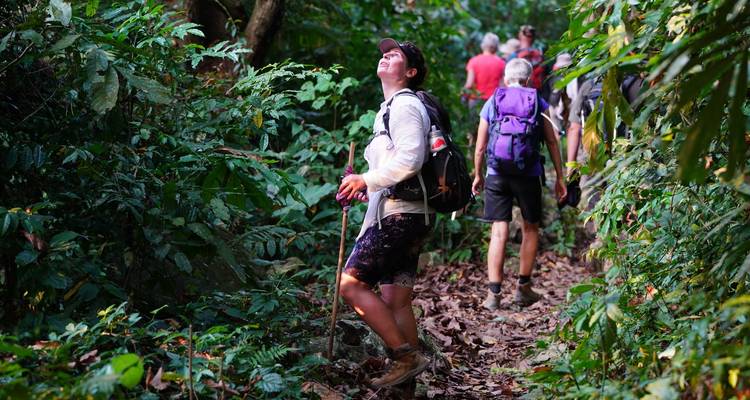 Wanderer bewegen sich entlang eines schmalen, blättrigen Dschungelpfads, einer blickt nach oben in Richtung Baumkronendach.