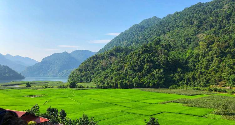 Breites Tal mit leuchtend grünen Reisfeldern, die sich zu bewaldeten Bergen an einem See hin erstrecken