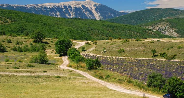 Cotes Du Ventoux Cycling - Exodus Adventure Travels 6