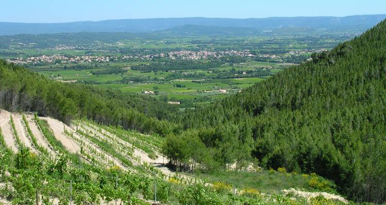 Cotes Du Ventoux Cycling - Exodus Adventure Travels 3