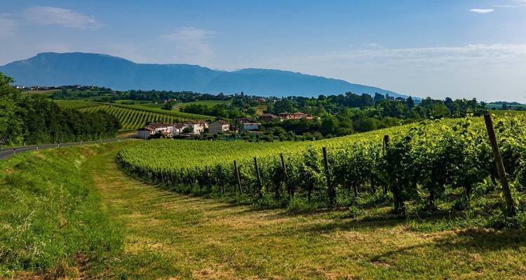 Cyclisme dans les villas et vignobles vénitiens - Exodus Adventure Travels 6