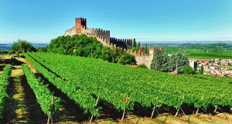 Un vignoble menant à un château historique avec de larges vues.