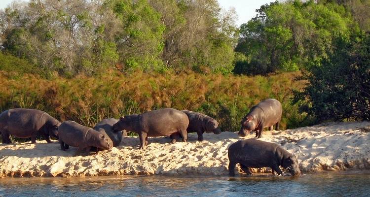 Chutes Victoria et Okavango Wilderness Trail - avec hébergement - 9 jours - Acacia Adventure Holidays 3
