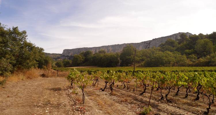 Paseo por los Paisajes del Luberon - Exodus Adventure Travels 6