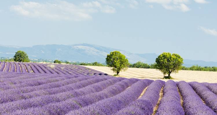 Paseo por los Paisajes del Luberon - Exodus Adventure Travels 4