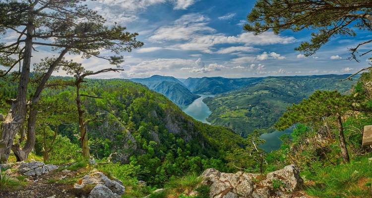 Vue panoramique d'une rivière serpentant à travers un canyon luxuriant.