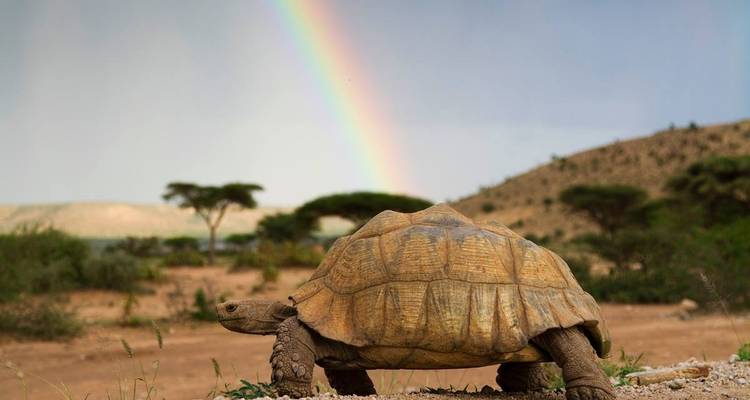 Somaliland et Djibouti - Un voyage dans le temps - Penguin Travel 2