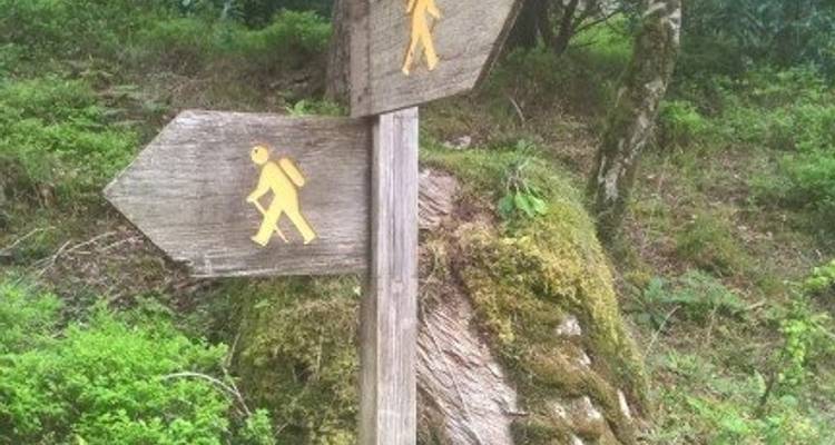 Walking the Kerry Way and Killarney National Park - Exodus Adventure Travels 9