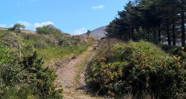 Walking the Kerry Way and Killarney National Park - Exodus Adventure Travels 3