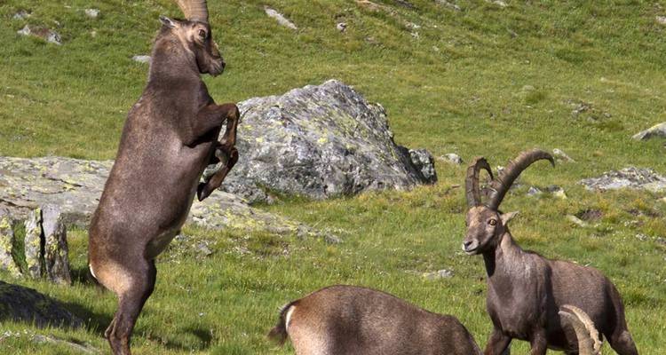 El Camino real gran Paradiso Italia - No Roads Expeditions 9