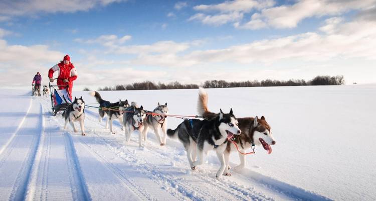 Cross-Country Skiing in Venabu - Exodus Adventure Travels 8