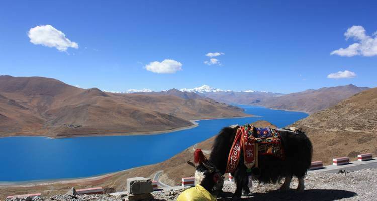 5 Days Lhasa and Yamdrok Lake Small Group Tour - Tibet Vista 1