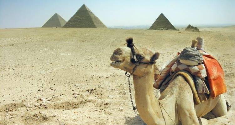 9 días de Egipto clásico con 4 noches de crucero por el Nilo - Flo Tours 1
