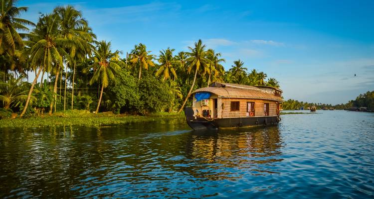 Houseboat on a calm river surrounded by lush palm trees.