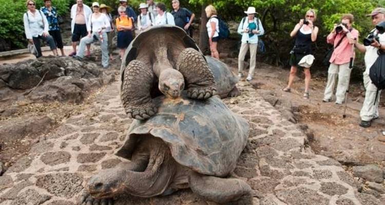 Naturaleza y Aventura: 5 Días en Santa Cruz e Isabela - BM Tours 2