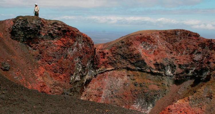 Naturaleza y Aventura: 5 Días en Santa Cruz e Isabela - BM Tours 6